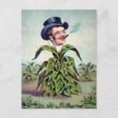 Carte postale de l'homme à la plante victorien (Devant)