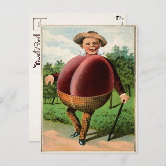 Carte postale de l'homme à la prune victorienne  (Devant / Derrière)