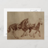 Carte postale de liberté de Shires (Devant / Derrière)