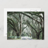 carte postale de l'île amelia (Devant / Derrière)