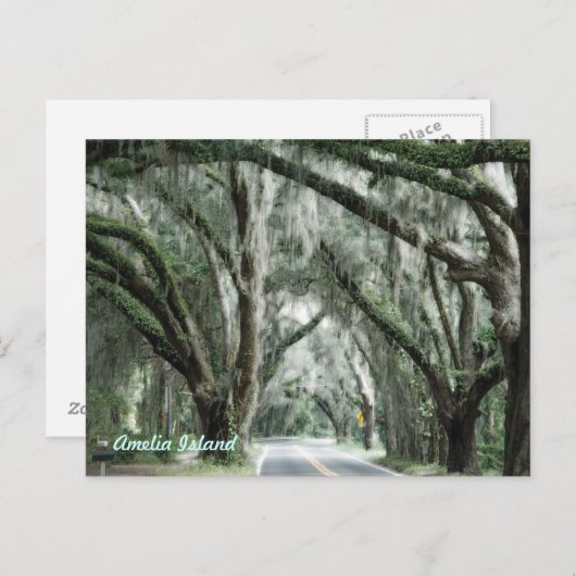 carte postale de l'île amelia (Devant / Derrière)