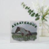Carte postale de l'île Assateague (Debout devant)