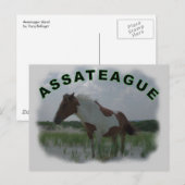Carte postale de l'île Assateague (Devant / Derrière)