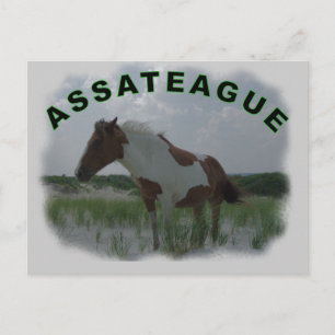 Carte postale de l'île Assateague