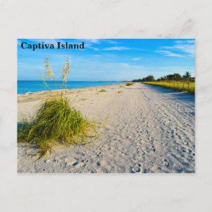 Carte postale de l'île Captiva