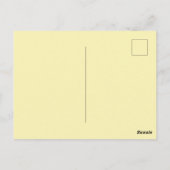 Carte postale de l'île de Curaçao de la Hollande (Dos)