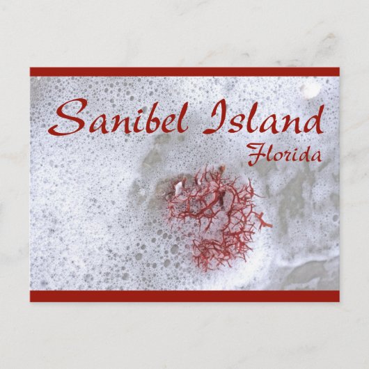 Carte postale de l'île de Sanibel (Devant)