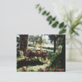 Carte postale de l'île de Zakynthos (Debout devant)