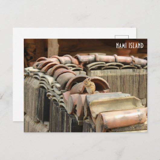 Carte postale de l'île Nami (Devant / Derrière)