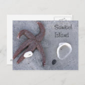 Carte postale de l'île Sanibel Starfish et Shell (Devant / Derrière)