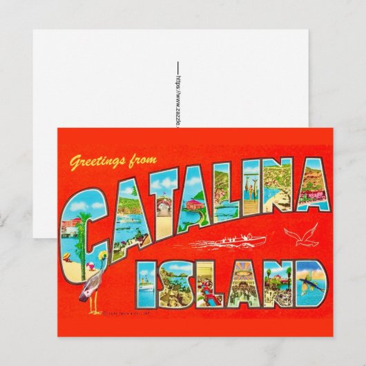 Carte postale de l'île Santa Catalina (Devant / Derrière)