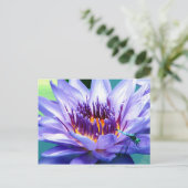 Carte postale de Lilly (Debout devant)