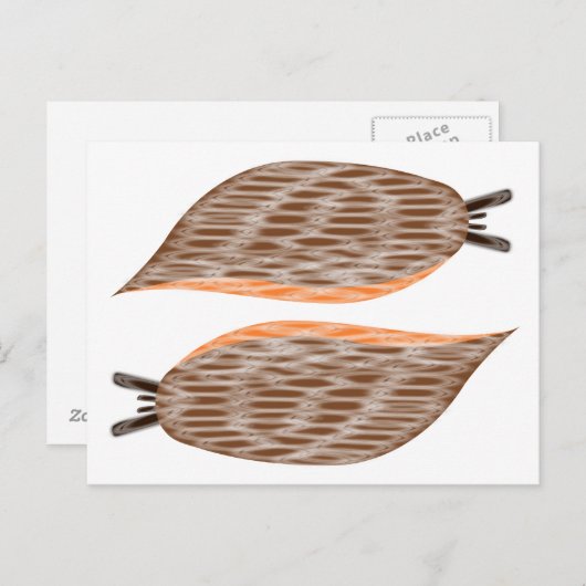 Carte postale de limaces (Devant / Derrière)