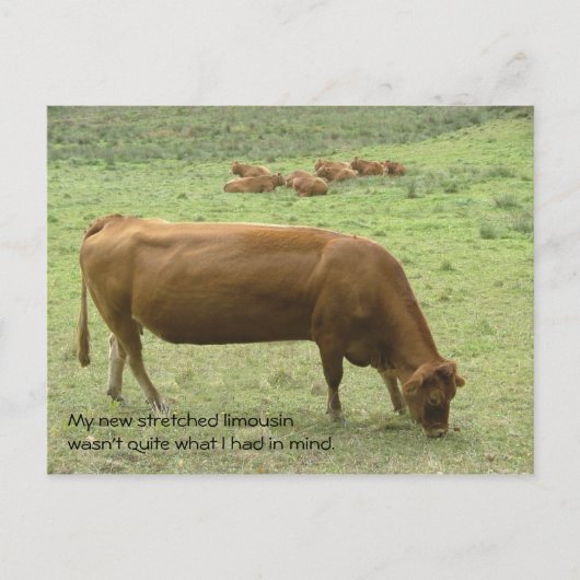 Carte postale de limousine étirée (Devant)