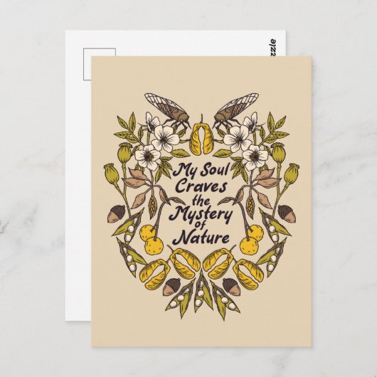 Carte postale de l'Insecte de la nature (Devant / Derrière)