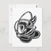 Carte Postale De l'intérieur (Devant / Derrière)