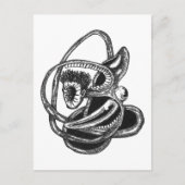 Carte Postale De l'intérieur (Devant)