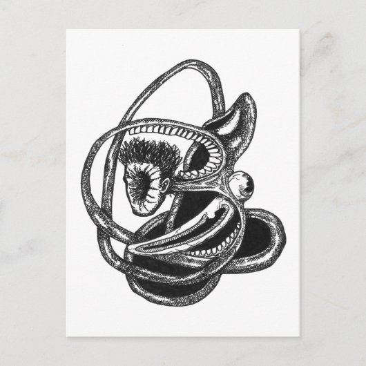 Carte Postale De l'intérieur (Devant)