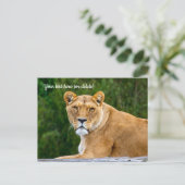 Carte postale de lion (Debout devant)