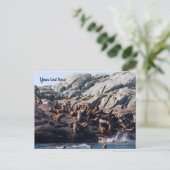 Carte postale de lion de mer (Debout devant)