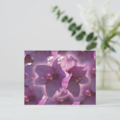 Carte postale de lis (Debout devant)