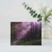 Carte postale de l'obscurité (Debout devant)