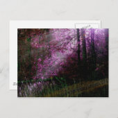 Carte postale de l'obscurité (Devant / Derrière)