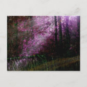 Carte postale de l'obscurité (Devant)