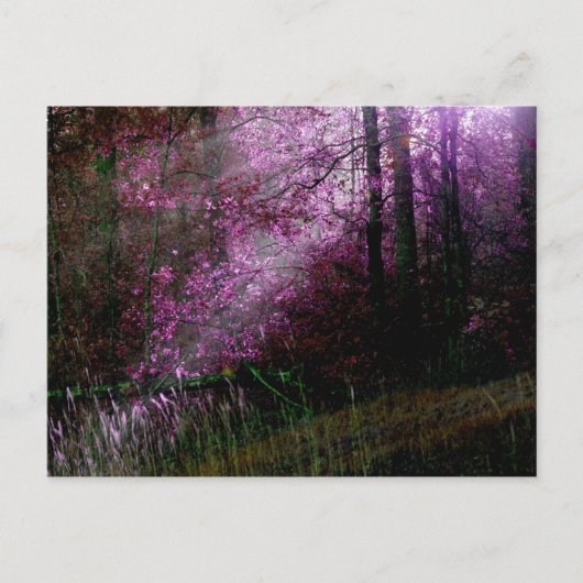 Carte postale de l'obscurité (Devant)