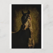 Carte Postale De l'obscurité (Devant)