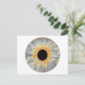 Carte postale de l'oeil (Debout devant)