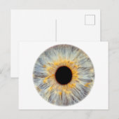 Carte postale de l'oeil (Devant / Derrière)