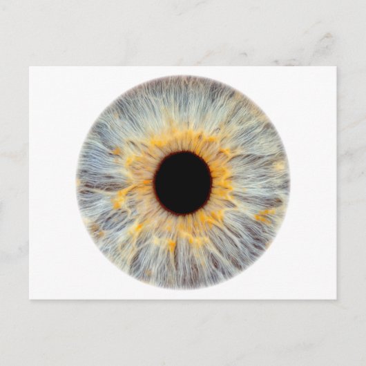 Carte postale de l'oeil (Devant)