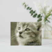 Carte postale de l'Oiseau (Debout devant)