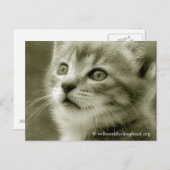 Carte postale de l'Oiseau (Devant / Derrière)