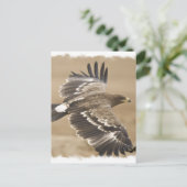 Carte postale de l'oiseau aigle volant (Debout devant)
