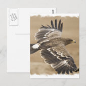 Carte postale de l'oiseau aigle volant (Devant / Derrière)