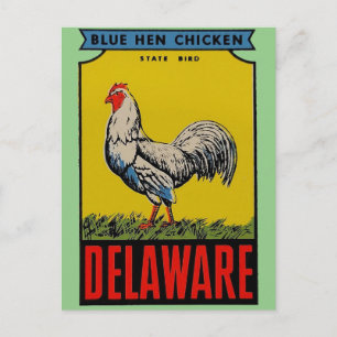 Carte postale de l'oiseau de l'État du Delaware