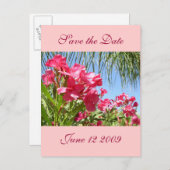 Carte postale de l'oléandre de sauvegarde de la da (Devant / Derrière)