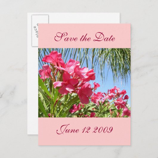 Carte postale de l'oléandre de sauvegarde de la da (Devant / Derrière)