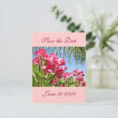 Carte postale de l'oléandre de sauvegarde de la da (Debout devant)