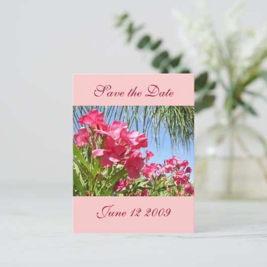 Carte postale de l'oléandre de sauvegarde de la da (Debout devant)