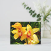 Carte postale de l'orchidée jaune (Debout devant)