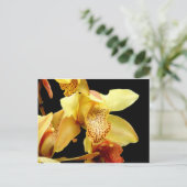 Carte postale de l'orchidée jaune pâle (Debout devant)