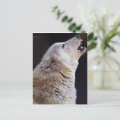 CARTE POSTALE DE LOUP D'HURLEMENT (Debout devant)