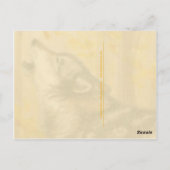 Carte postale de loup hurlant (Dos)