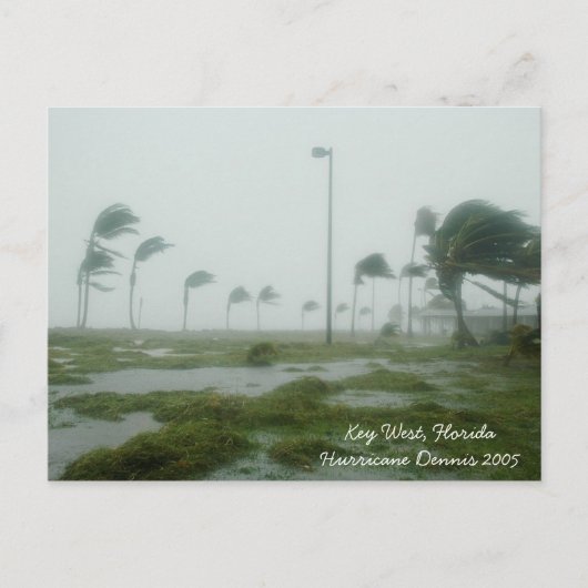 Carte postale de l'ouragan Dennis 2005 Key West Fl (Devant)