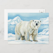 Carte postale de l'ours blanc (Devant / Derrière)