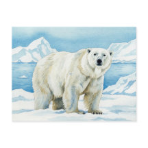 Carte postale de l'ours blanc