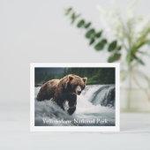 Carte postale de l'ours grizzli de Yellowstone (Debout devant)